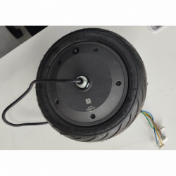 Hub Motor Assy