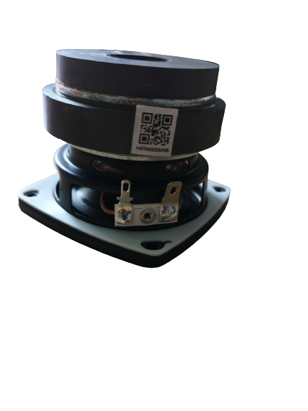 Haut Parleur (woofer) JBL Xtreme 2 - PL (R17-3)