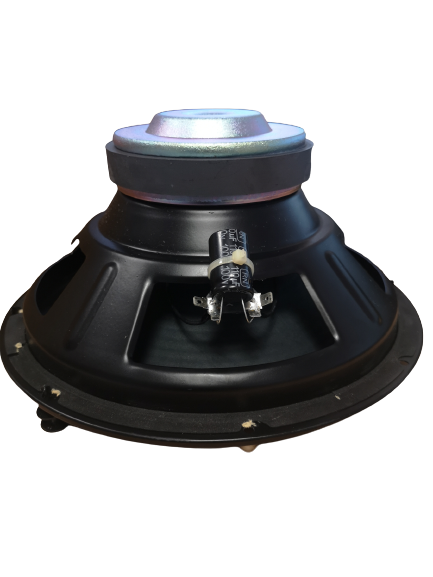 Haut parleur (woofer) JBL ES250 P et ES250 PW (R17)