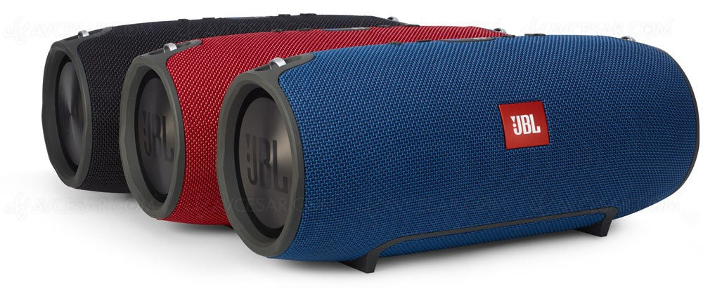 Haut parleur (woofer) JBL Xtreme (R17-1)