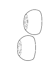 Embouts silicone JBL Endurance Race (R19-2)