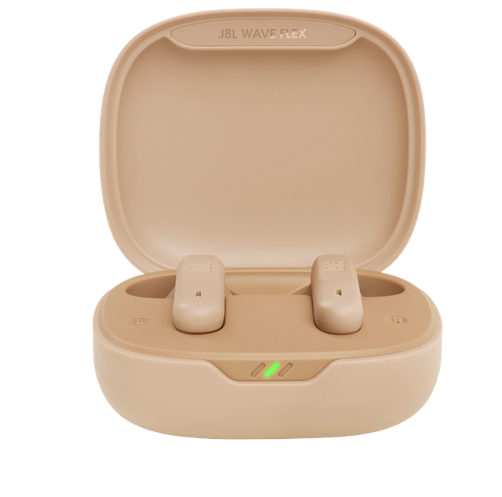 Chargeur écouteur JBL Wave Flex (R20-1)