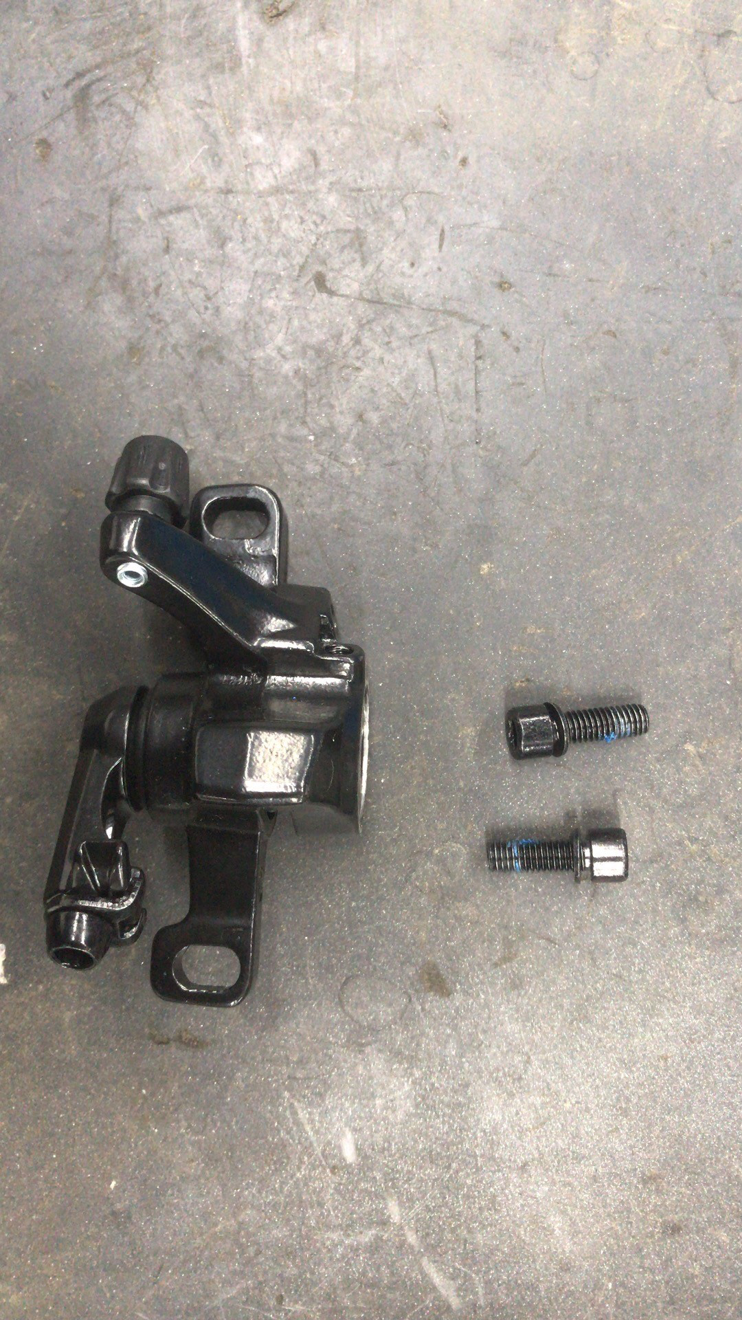 Rear disc brake assy