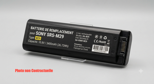 Batterie M29 de remplacement pour Sony SRS-XV800
